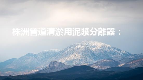 株洲管道清淤用泥漿分離器：揭秘神奇分離力，清除隱患如掌上珍寶！